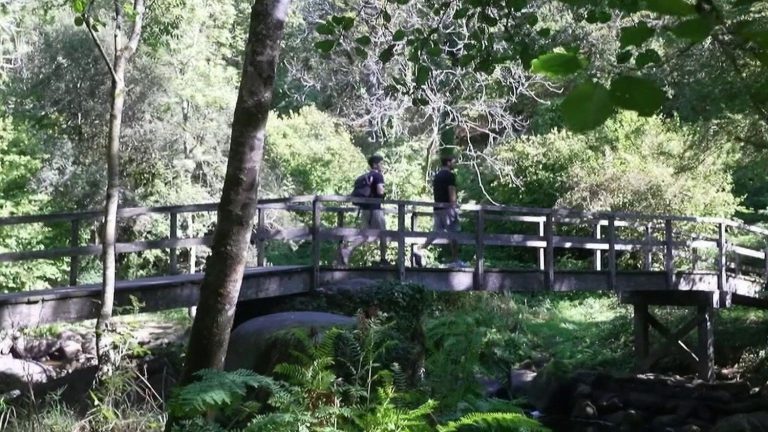 La vallée du Stangala : un coin de paradis qui fait oublier les promesses du RN en Finistère.