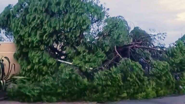 Orages et crues dans le Gard et l’Hérault : d’importants dégâts constatés mercredi matin