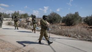 Récolte des olives : des experts de l’ONU alertent sur les violences contre les agriculteurs palestiniens en Cisjordanie