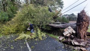 Tempête Austen : près de 300 interventions des pompiers dans le Finistère, vigilance orange activée