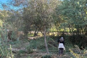 Disparition de Michaël Amsallem : ses proches attendent des nouvelles après les intempéries dans le Var.