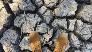La BAD estime que l’Afrique aura besoin de dizaines de milliards pour faire face à El Niño