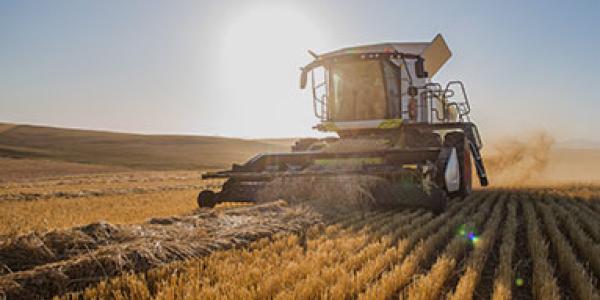 Les lycées agricoles peuvent s’inscrire jusqu’au 23 octobre au concours sur la transmission des fermes