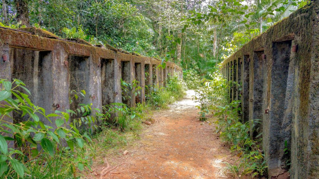 Bagne des Annamites, Montsinéry-Tonnégrande, Guyane Française.jpg