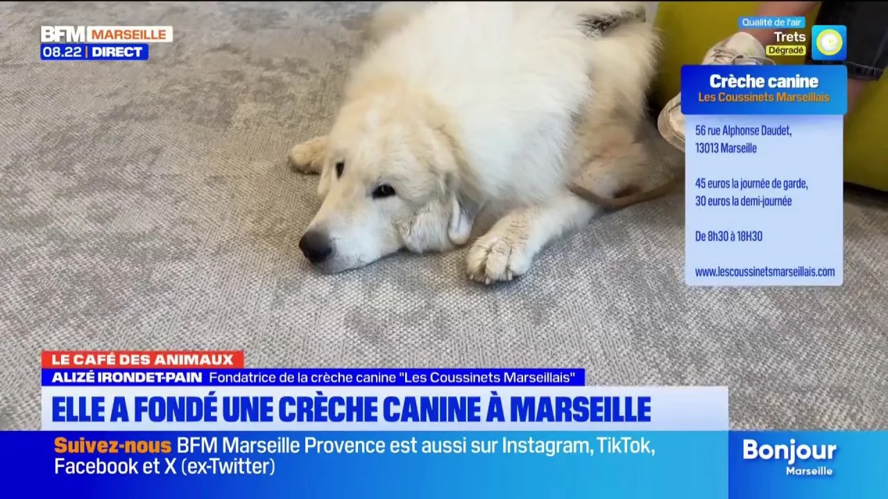 À Marseille, Alizé Irondet-Pain raconte la création de sa crèche canine locale