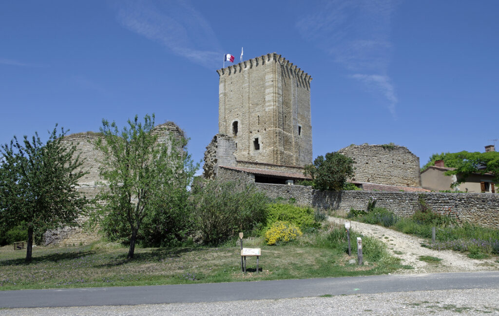Moncontour (Vienne). (35342239745).jpg