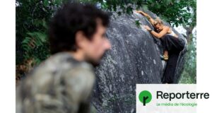 Les grimpeurs de Fontainebleau se mobilisent pour préserver l&rsquo;avenir de l&rsquo;escalade après les incendies de 2023.