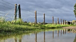 Météo en Belgique : de fortes pluies attendues cet après-midi et des rafales de vent jusqu&rsquo;à 80 km/h.