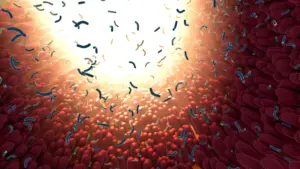 Des chercheurs de l&rsquo;Université d&rsquo;Hawaii révèlent que les bactéries intestinales influencent le rythme du vieillissement biologique.