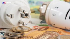 Achats groupés d’énergie : comment les ménages mutualisent leurs achats pour négocier les tarifs