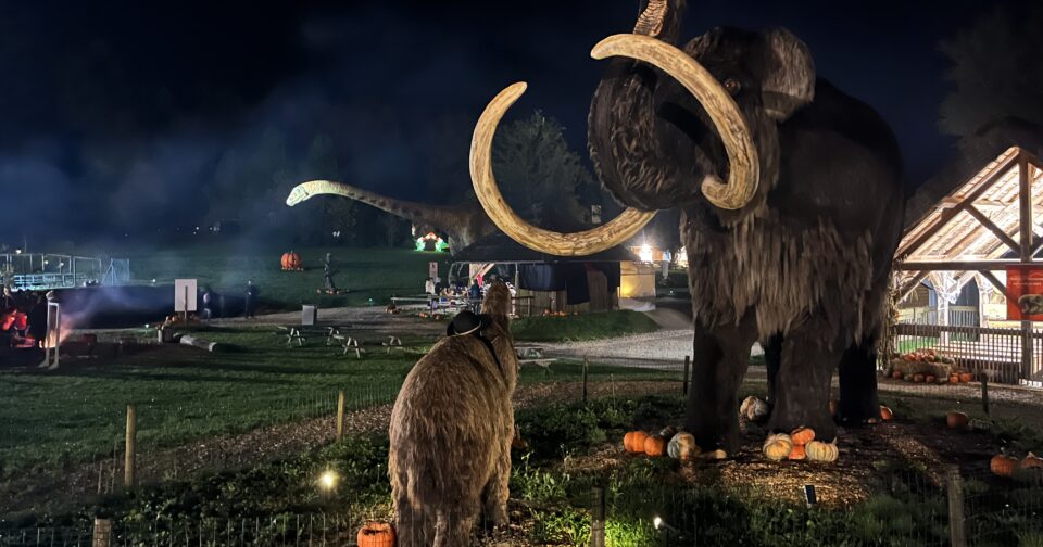 Au Dino-Zoo, les jeunes visiteurs découvriront des dragons animatroniques pour Halloween, du 17 octobre au 1er novembre