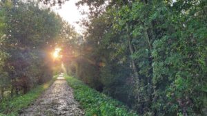 Météo : Pluies attendues en Belgique ce lundi après-midi, avec des températures de 8 à 12°