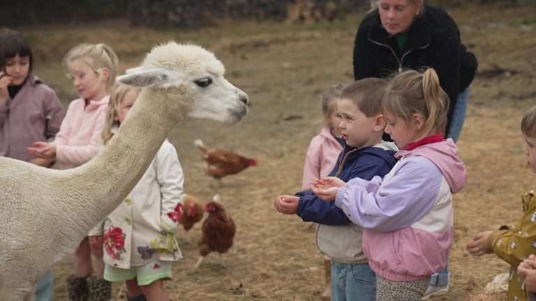 À La Petite Marmaille, les enfants renouent avec le vivant au quotidien