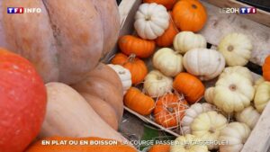 En automne, les courges garnissent les assiettes et s’invitent aussi dans les boissons chaudes