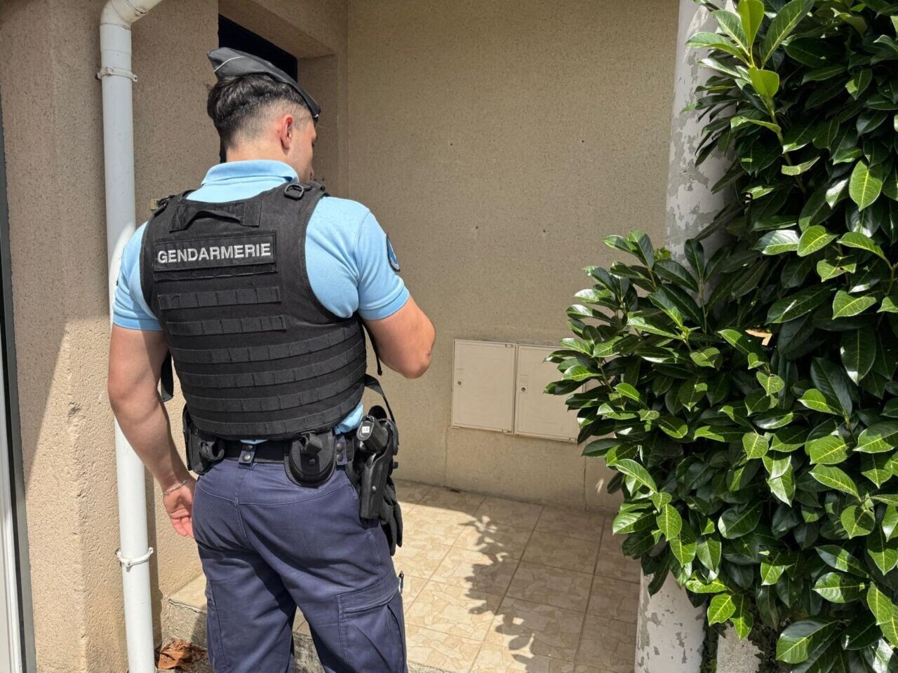 À Saint-Saturnin-lès-Avignon, les gendarmes découvrent 11,2 kg de cannabis