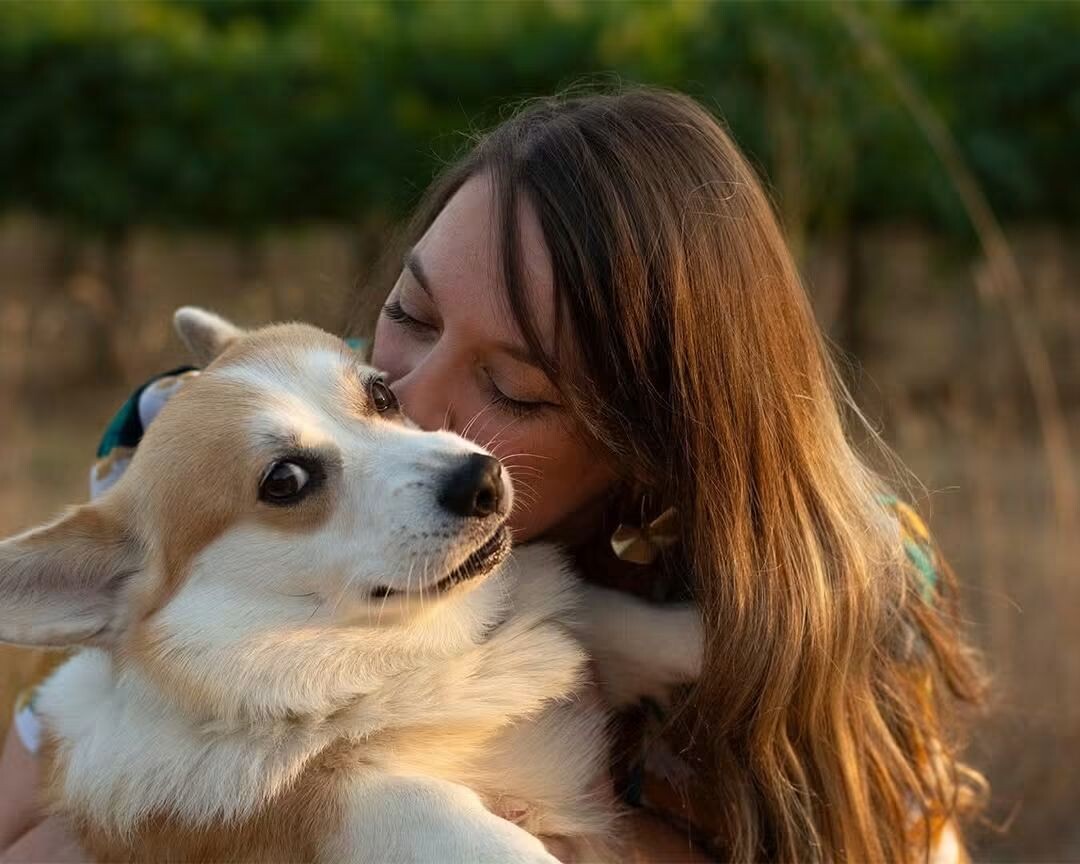 À La Môle, la famille relance son appel pour retrouver Txakoli, disparu depuis deux mois