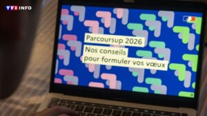 Parcoursup : 91,5 % des lycéens candidats ont reçu une proposition, selon les ministères