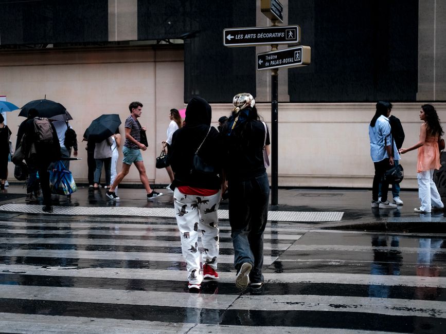 People crossing a wet city street under umbrellas, a typical urban scene with signs.