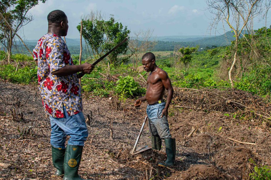 Two farmers working in a lush rural landscape, showcasing agriculture and teamwork.