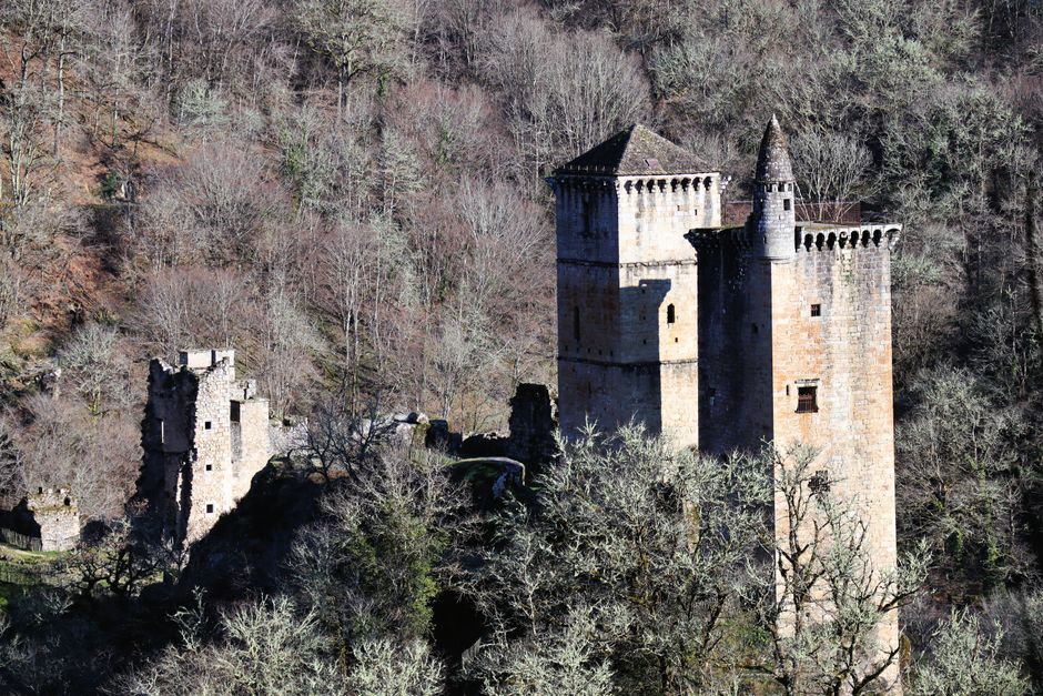 A striking aerial view of medieval castle ruins surrounded by a winter forest landscape.