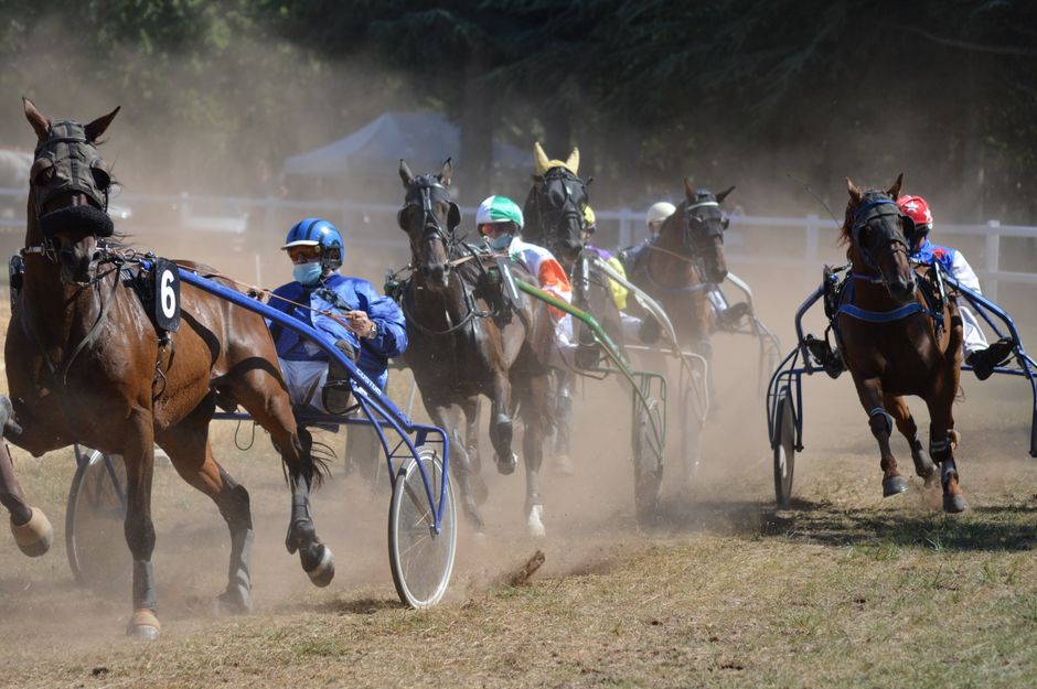 Dynamic shot of multiple horse sulkies racing on a dusty track, featuring riders in colorful uniforms.