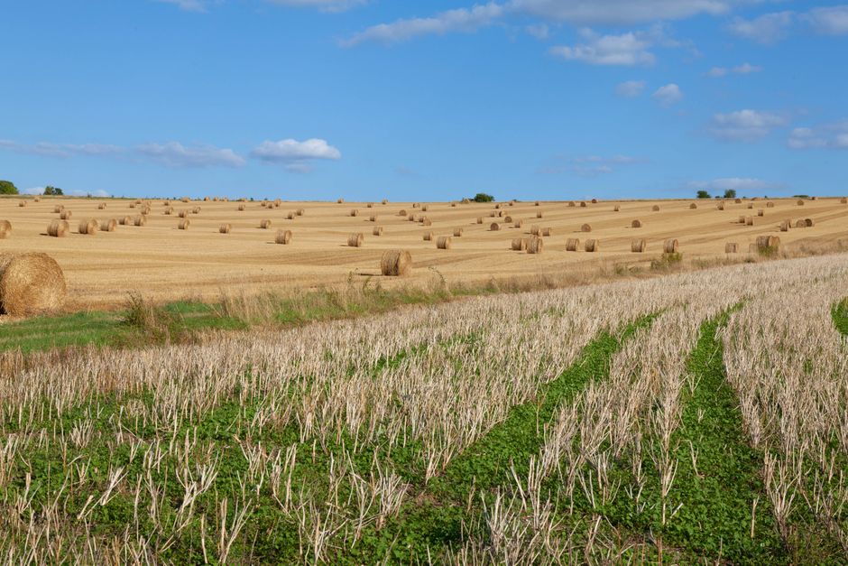 Stunning rural landscape with rolled hay bales under a blue sky, near La Roche-Guyon, France.