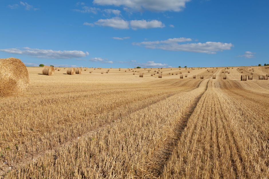 Serene view of hay bales under a blue sky in La Roche-Guyon, France.
