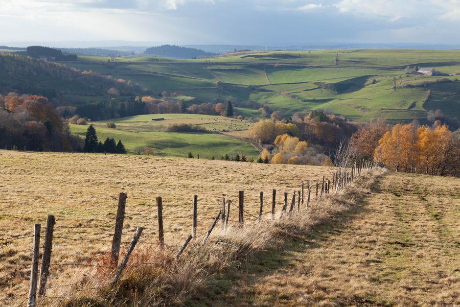 Explore the rolling hills and vibrant autumn foliage of Le Mont-Dore, France.