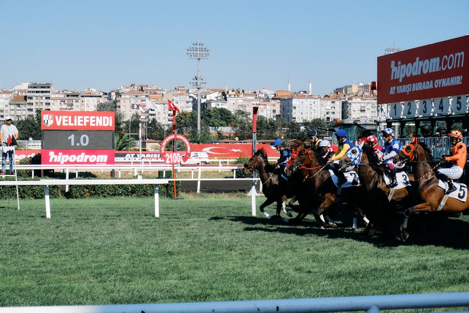 Riders race from the starting gate at Veliefendi racetrack, capturing equestrian sports excitement.