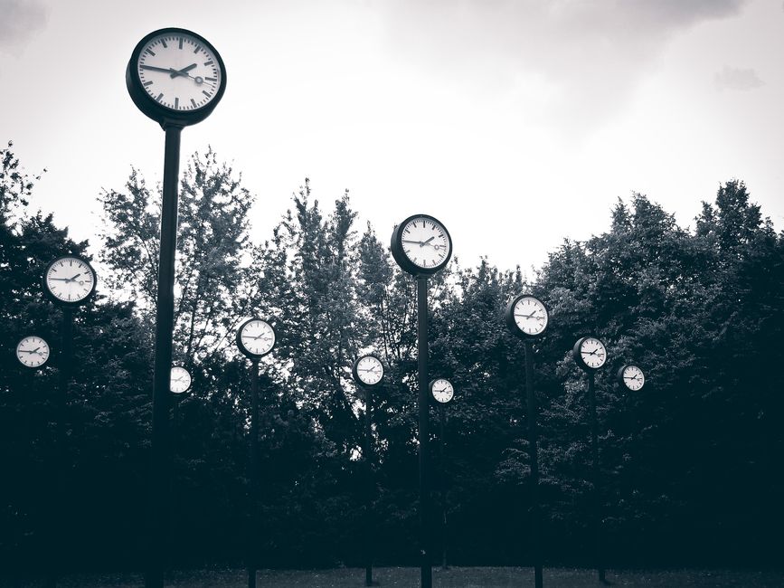 A collection of clocks set against a backdrop of trees in a park, creating a surreal scene.