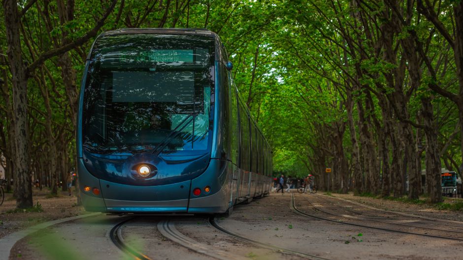 A sleek blue tram travels through a tree-lined avenue in Bordeaux, showcasing modern transportation.