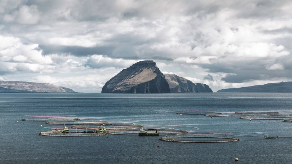 A serene view showcasing fish farms with dramatic cliffs in the Faroe Islands.