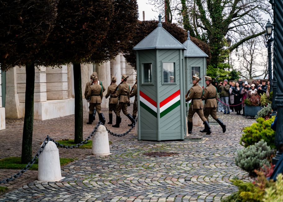 Ceremonial guards in Budapest, Hungary, performing a traditional military display at Buda Castle.