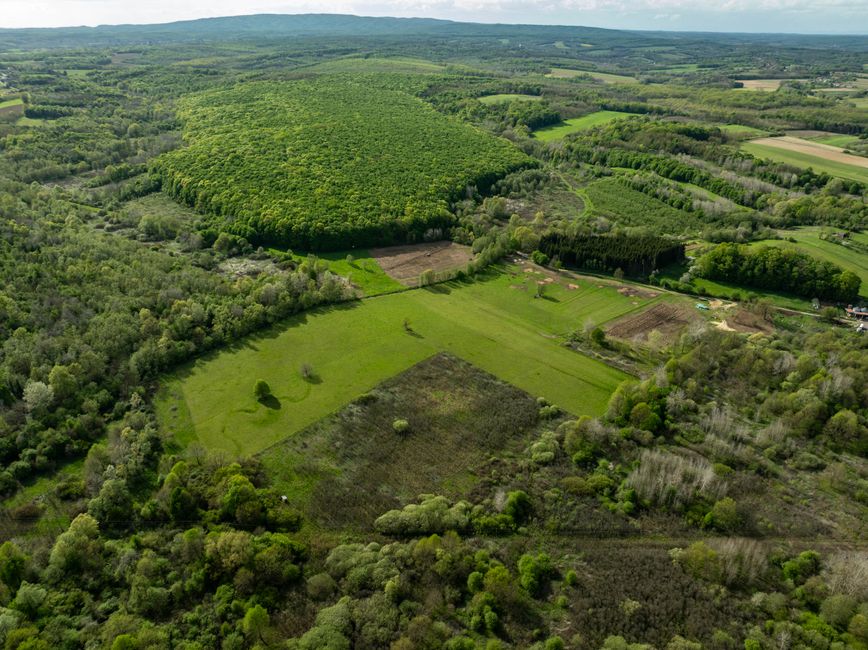 Lush green landscape captured from above in Garešnica, Croatia, showcasing natural beauty and tranquility.
