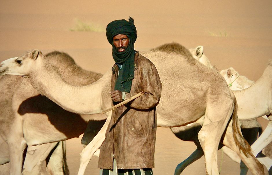 A Tuareg man in traditional attire leads a camel caravan across the Mauritanian desert under the bright sun.