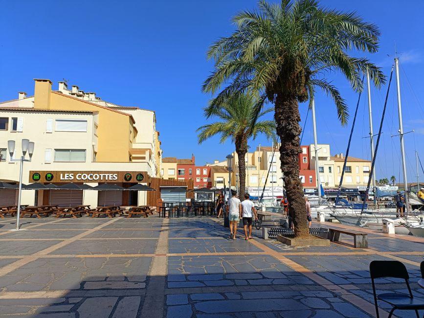 Sunny marina view with palm trees and architecture in Palavas-les-Flots, France.