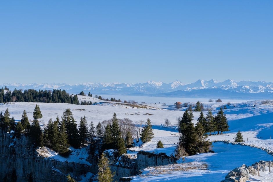 Scenic winter landscape of the Jura Mountains in Switzerland, featuring snow-covered hills and distant Alps under a clear blue sky.