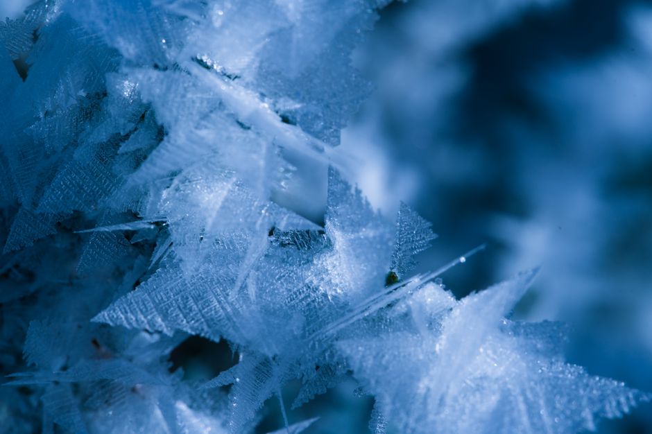 Detailed macro photograph showcasing the complexity and beauty of blue ice crystals.
