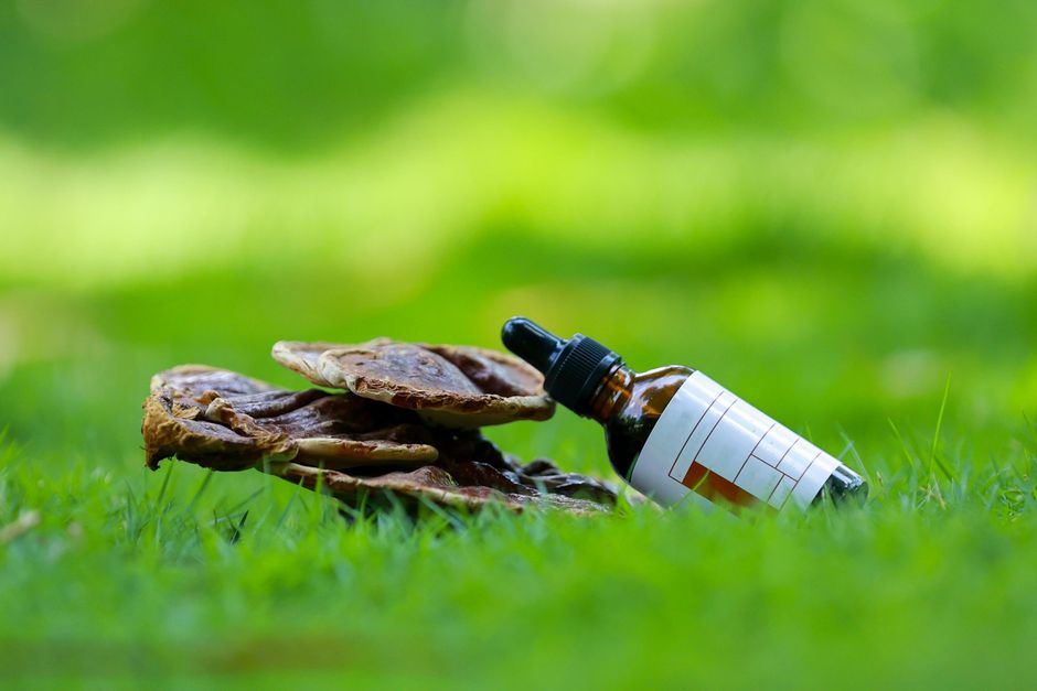 Close-up of Reishi mushrooms and tincture dropper bottle on grass, symbolizing natural health remedies.
