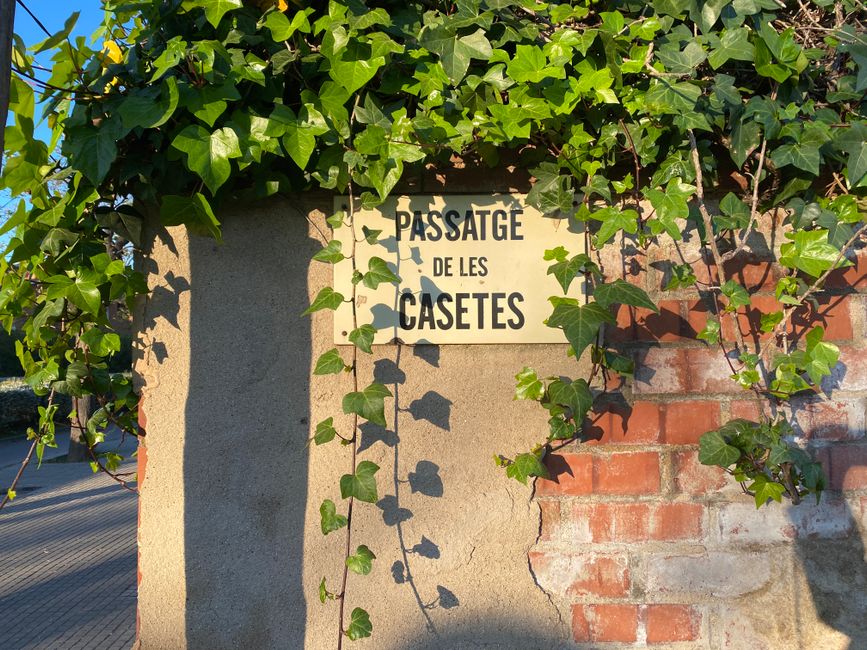 A sunny view of an ivy-covered wall with a street sign 'Passatge de les Casetes' in Barcelona, Spain.