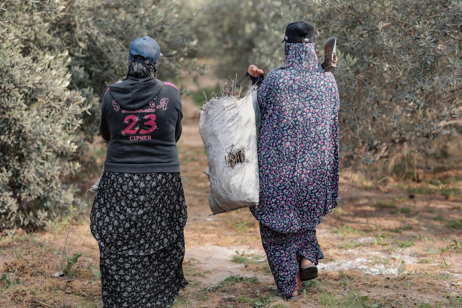 Two women walking through an orchard carrying a sack. Rural lifestyle depiction.