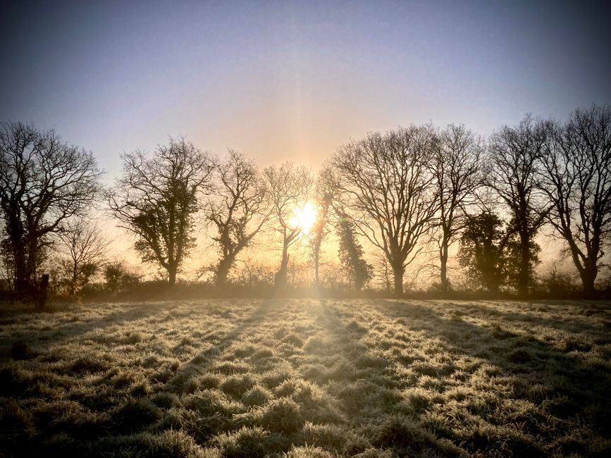 Sunrise over frosty fields in Froidfond, France, with silhouettes of winter trees.