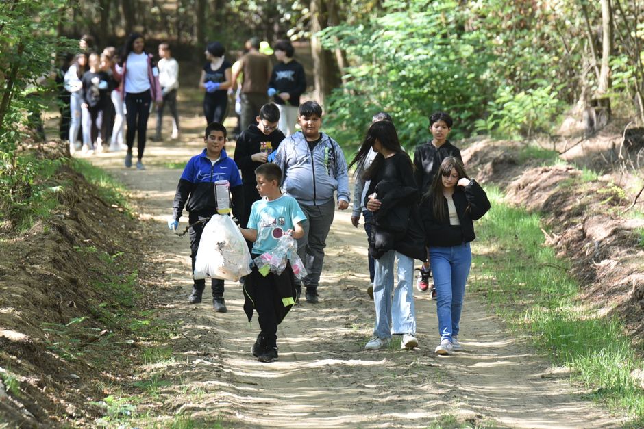 A group of people collecting garbage along a forest trail in Ilk, Hungary, promoting environmental awareness.