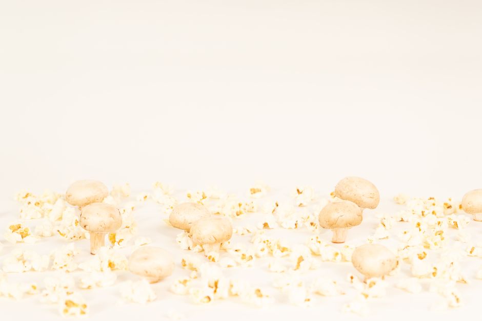 Mushrooms scattered among popcorn on a clean white background, emphasizing contrast and focus.