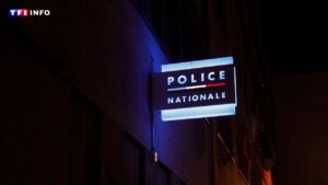 Trois jours avant l’attaque de Trappes, le suspect avait été interpellé après avoir frappé un automobiliste