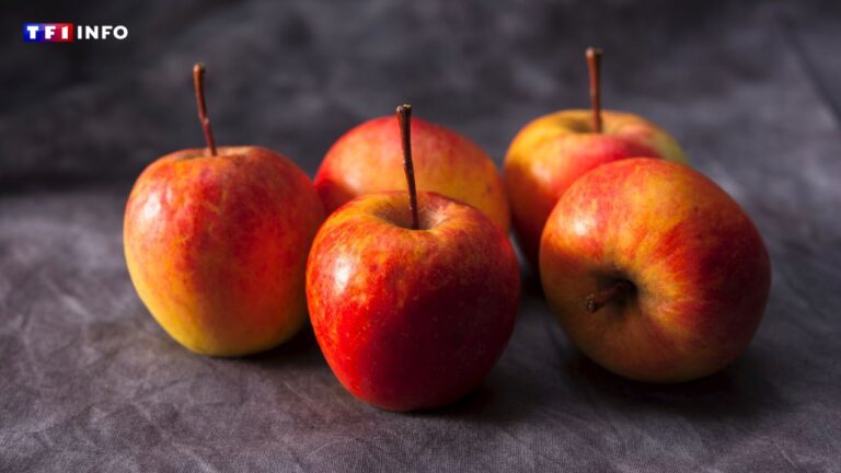 La sécheresse réduit la taille des pommes, mais concentre leurs saveurs, selon un maraîcher