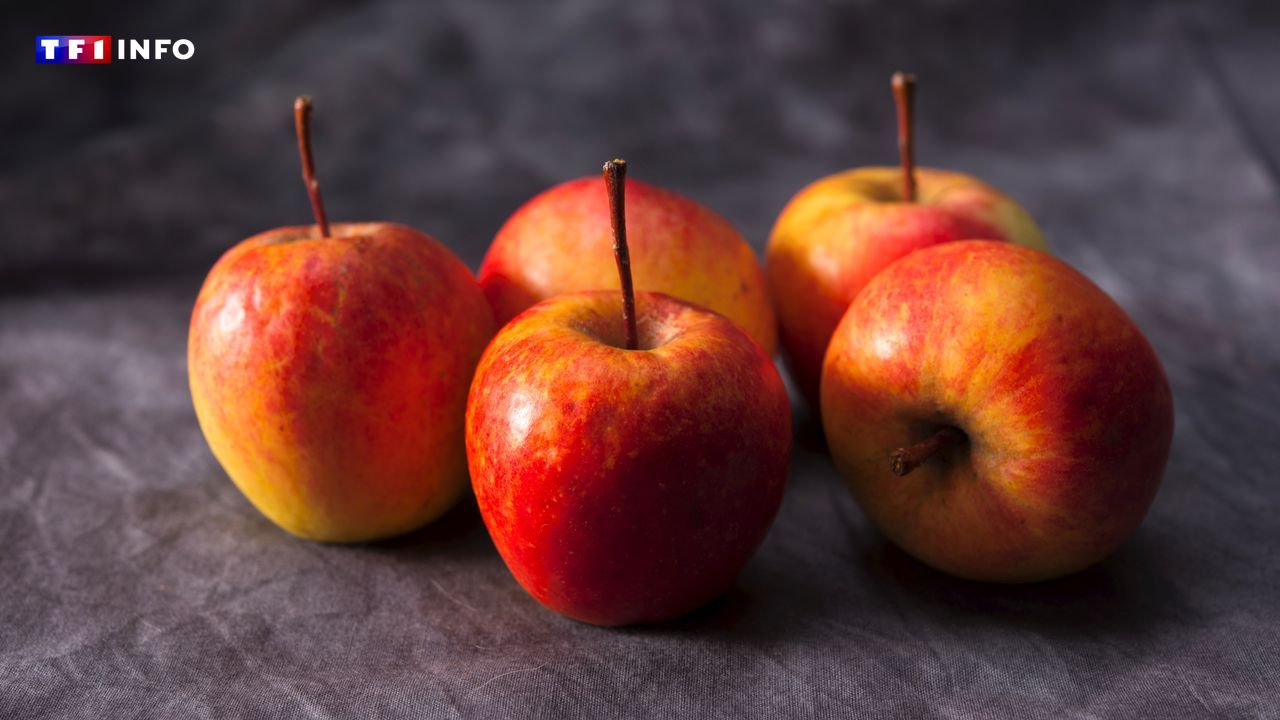 La sécheresse réduit la taille des pommes, mais concentre leurs saveurs, selon un maraîcher