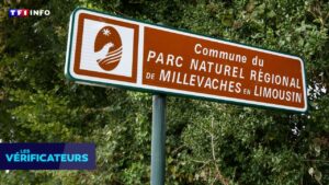 Millevaches : le PNAT n’a ouvert aucune procédure sur de présumés camps terroristes
