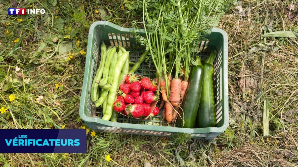 Alimentation bio : un risque de diabète potentiellement plus faible, sans lien causal établi