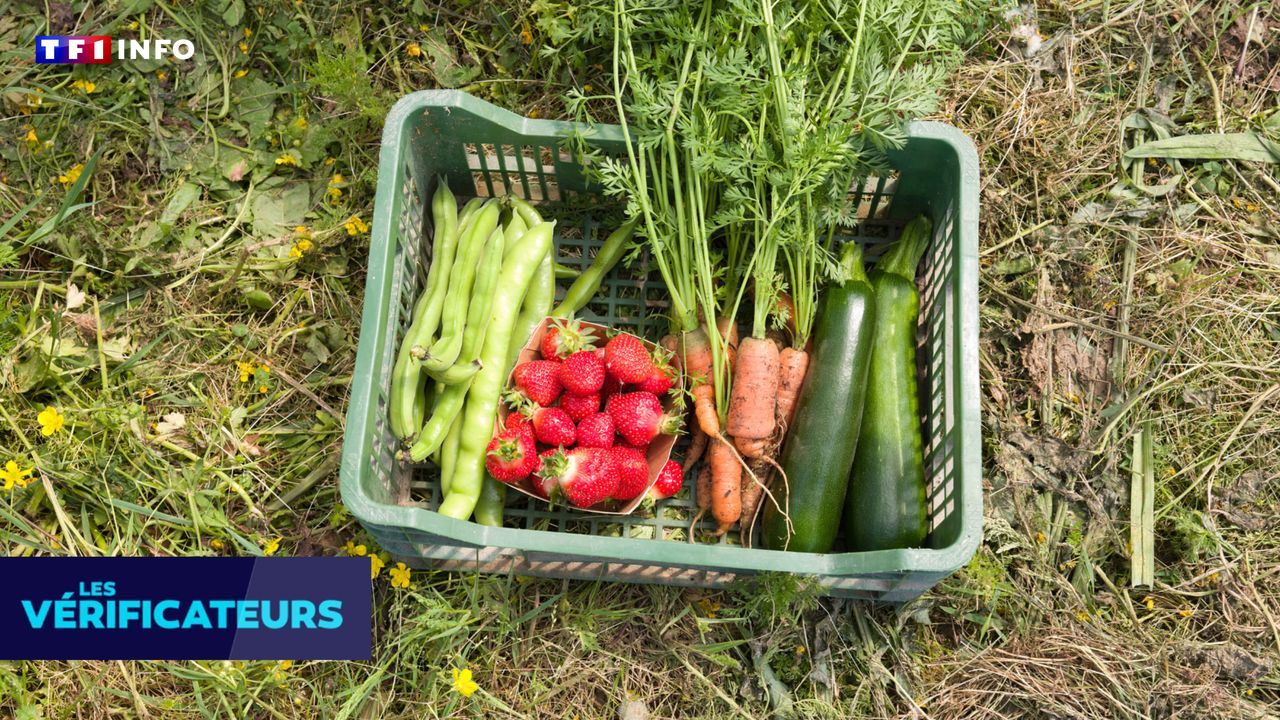 Alimentation bio : un risque de diabète potentiellement plus faible, sans lien causal établi
